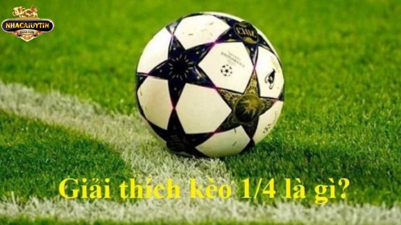 Giới thiệu kèo 1 4 là gì