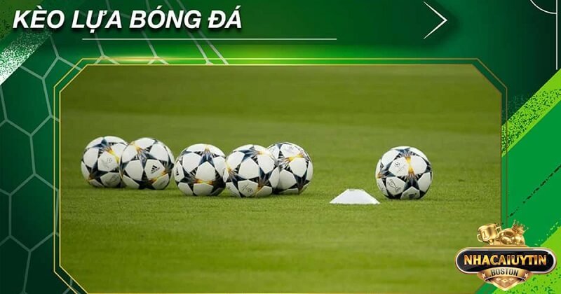 Hiểu rõ kèo lựa là gì trong bóng đá giúp bạn dễ thắng lớn